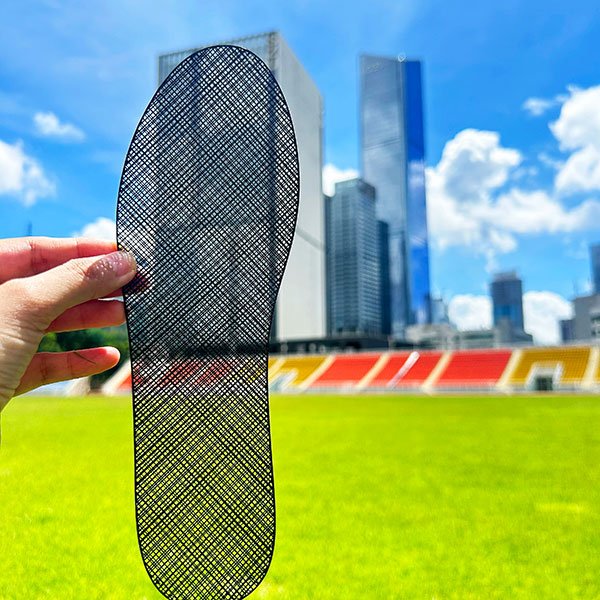 iSUN3D打印薄款鞋垫